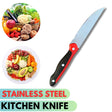 Stainless Steel Fruit & Utility Knife ? Excellent Quality Kitchen Knife for Home Chefs and Commercial Prep