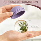 Hand holding a small glass ball with green plants inside, labeled 'Diameter 6cm', against a neutral background.