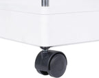 Plastic Kitchen Storage Trolley Rack with Caster Wheels ? 4 Layer | Rolling Utility Cart - AABA MALL