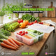 6 Pcs Detachable Drain Basket Fridge Food Storage Container with Lid ? Airtight Refrigerator Organizer Box