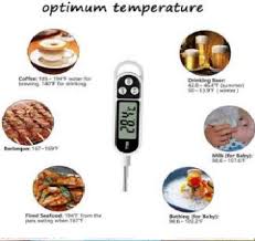 Meat Food Candy Digital Temperature Thermometer With Long Probe - AABA MALL