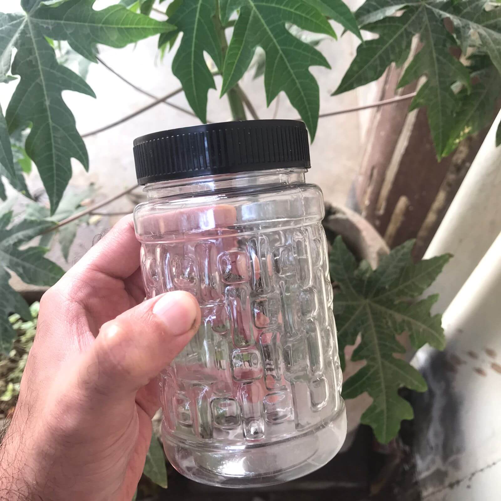 Clear jar with black lid held by a hand against a leafy background