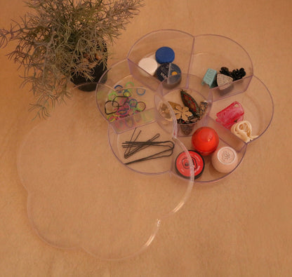 Dry fruit tray with sections and lid – clear plastic design