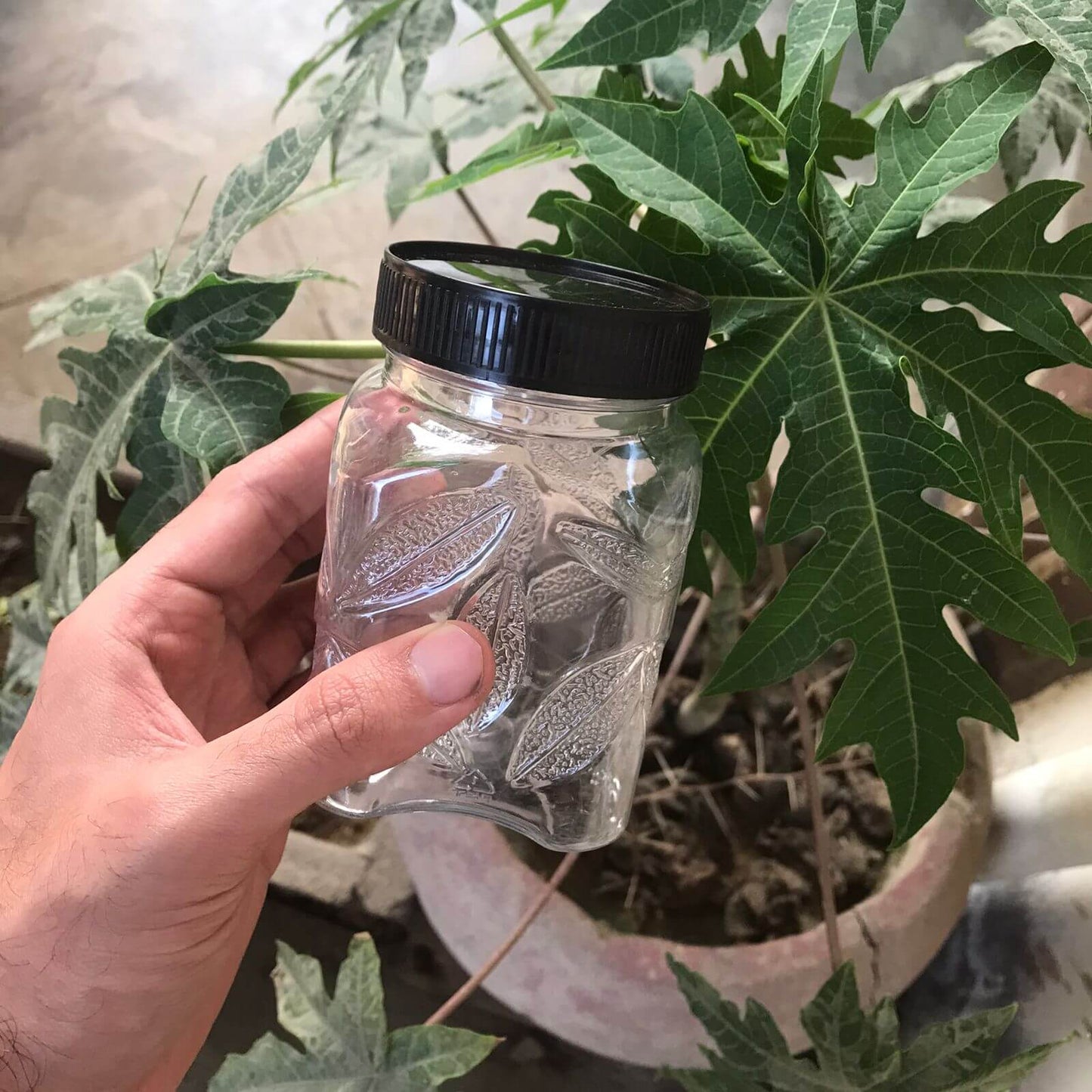 Leaf Plastic Jar Set – Airtight Food Storage Containers