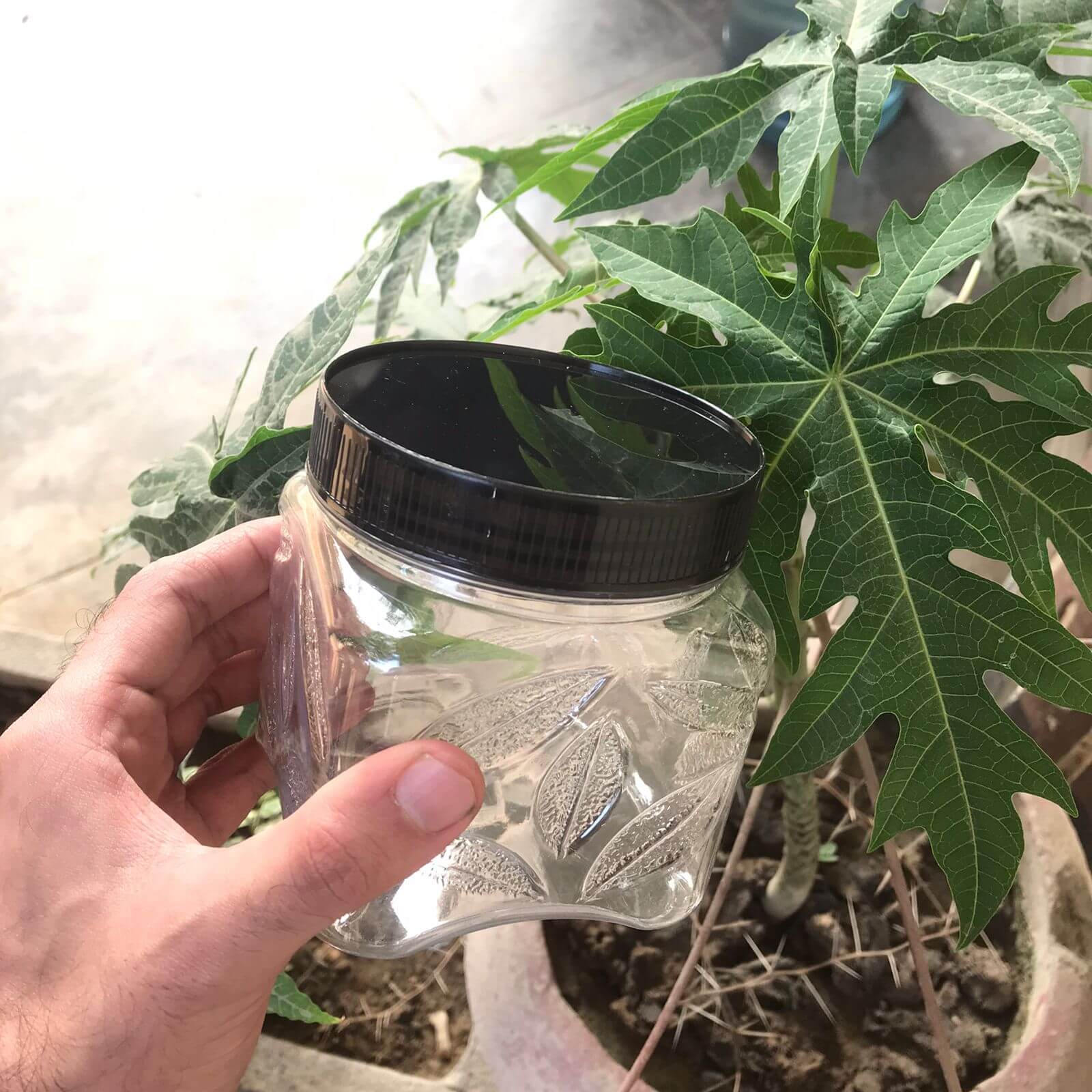 Leaf Plastic Jar Set – Airtight Food Storage Containers