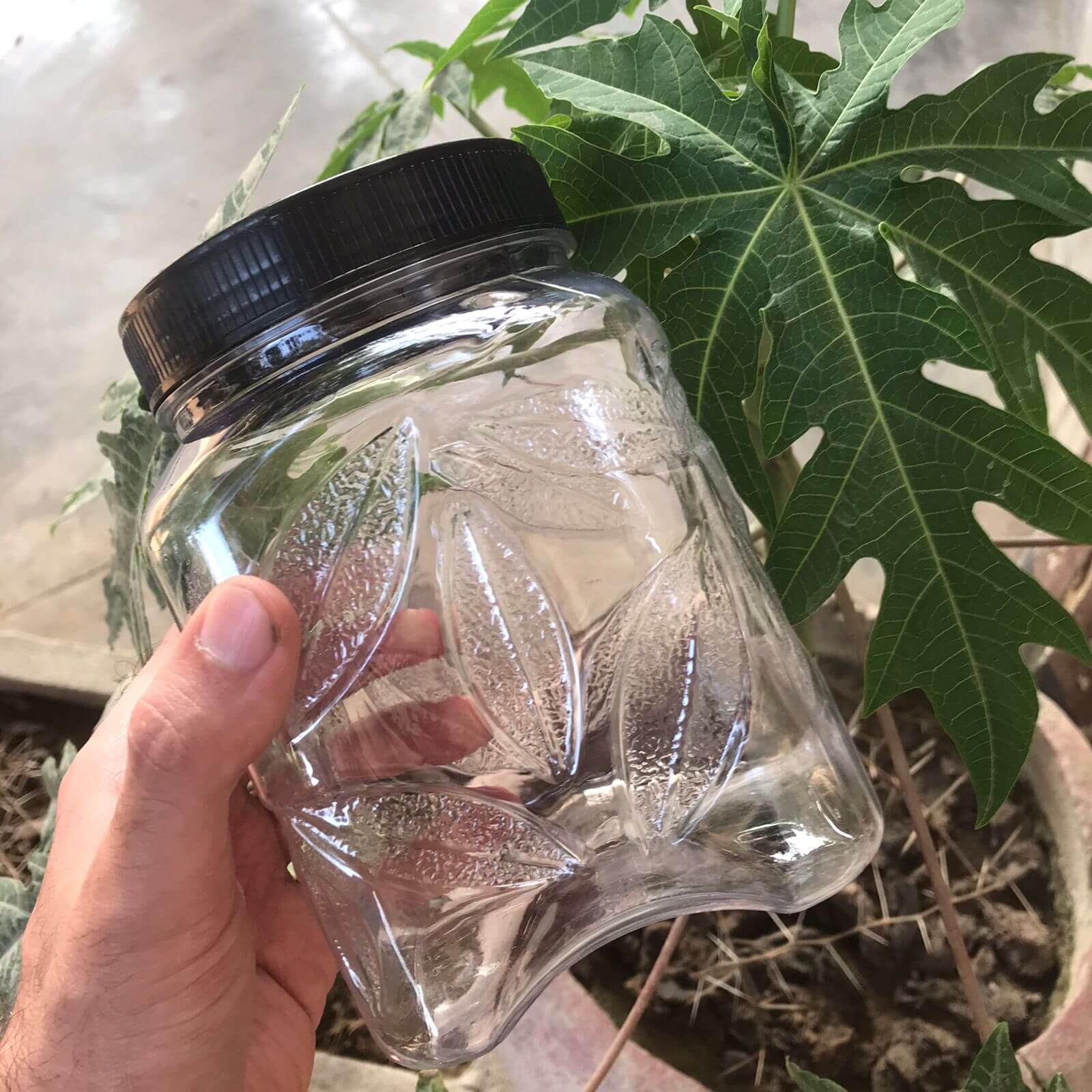 Clear Plastic jar with black lid held by a hand in front of green leaves