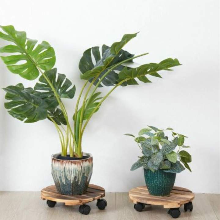 Wooden Plant Roller Stand with Lockable Wheels | Square & Round Plant Caddy | Heavy Duty Planter Trolley for Indoor & Outdoor Use