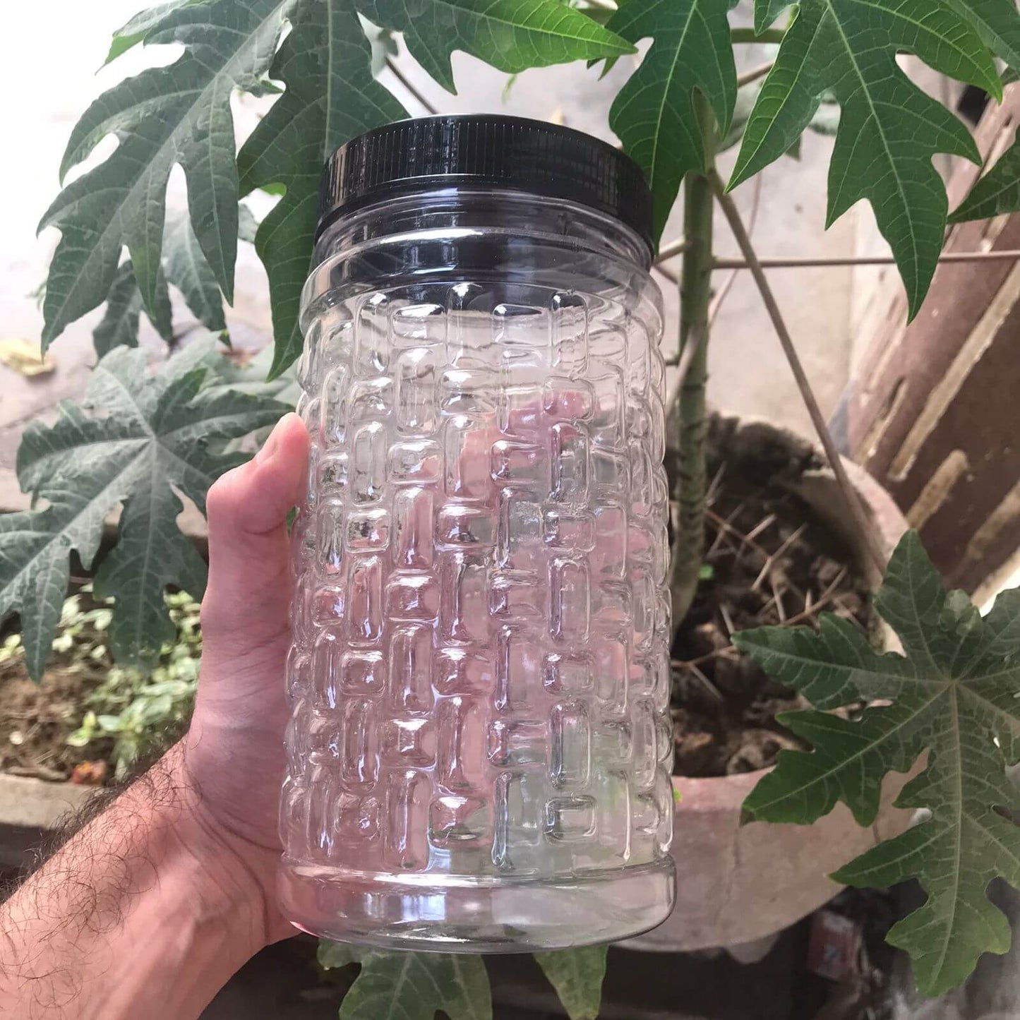 Clear textured jar with black lid held in front of green leaves