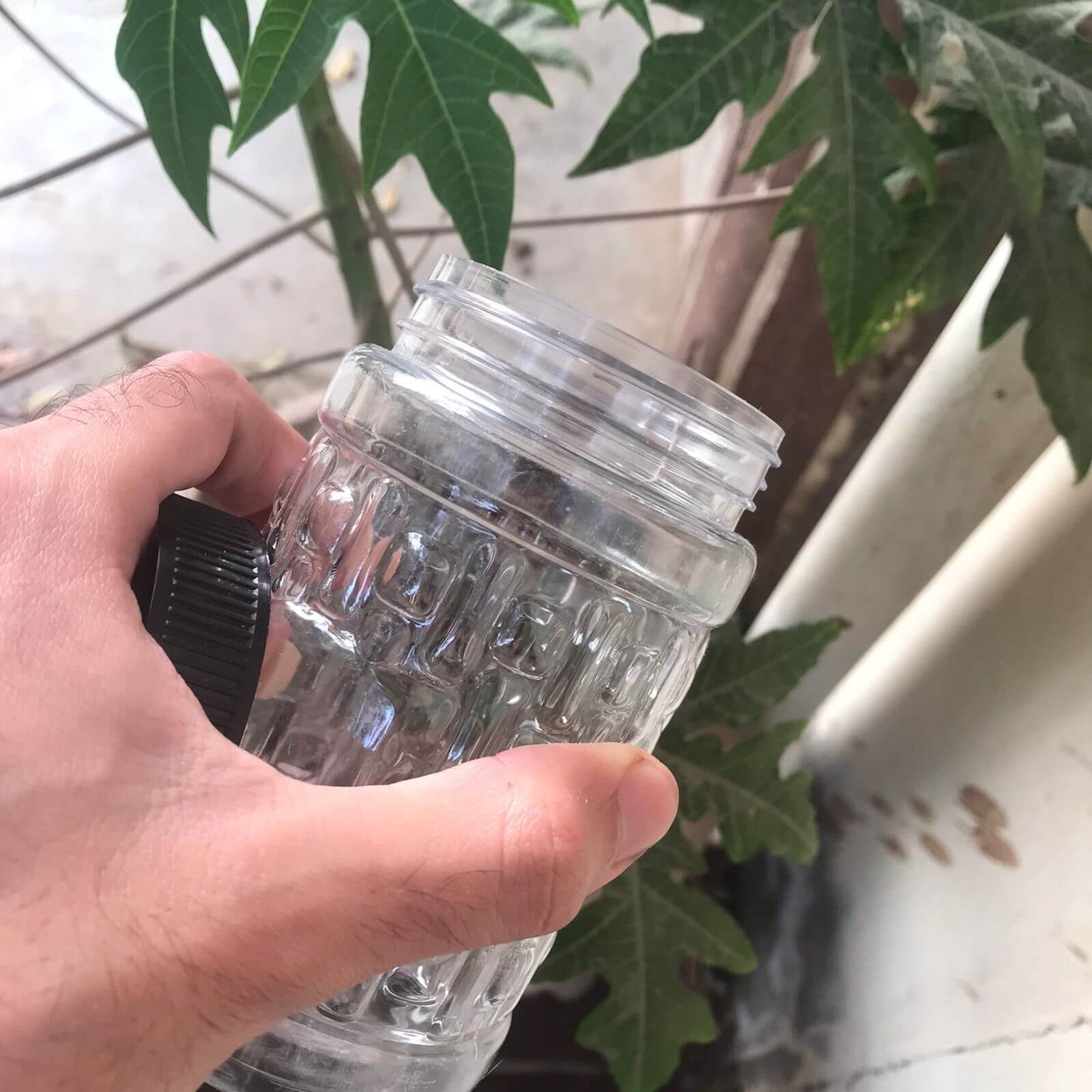Clear glass jar with textured surface held by a hand, with green leaves in the background
