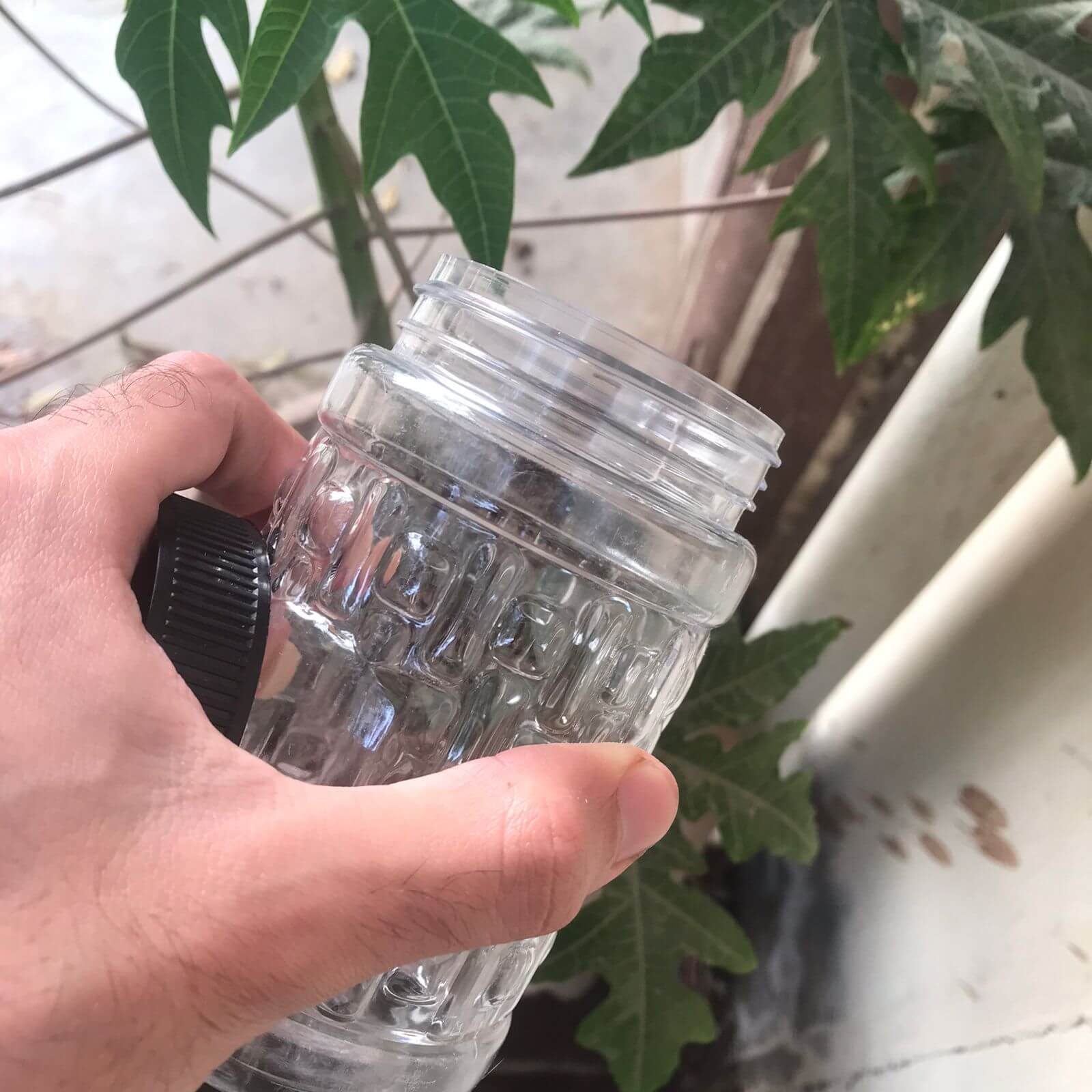 Clear glass jar with textured surface held by a hand, with green leaves in the background