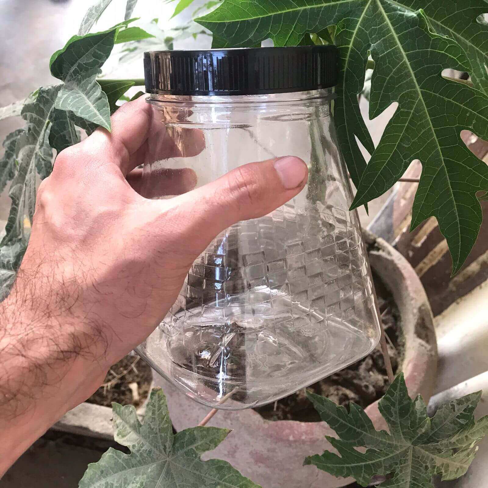 Pyramid Design plastic storage jar held in hand for size reference