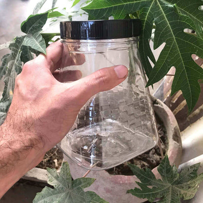 Pyramid Design plastic storage jar held in hand for size reference
